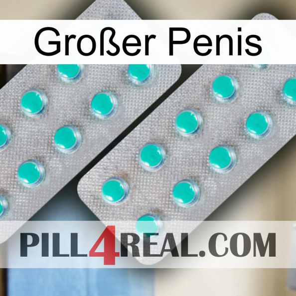 Großer Penis 29.jpg